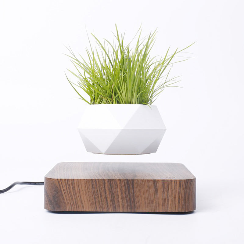 Magnetic Levitating Rotating Flowerpot