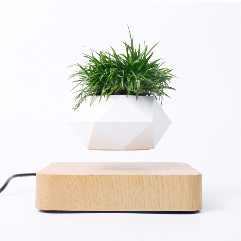 Magnetic Levitating Rotating Flowerpot